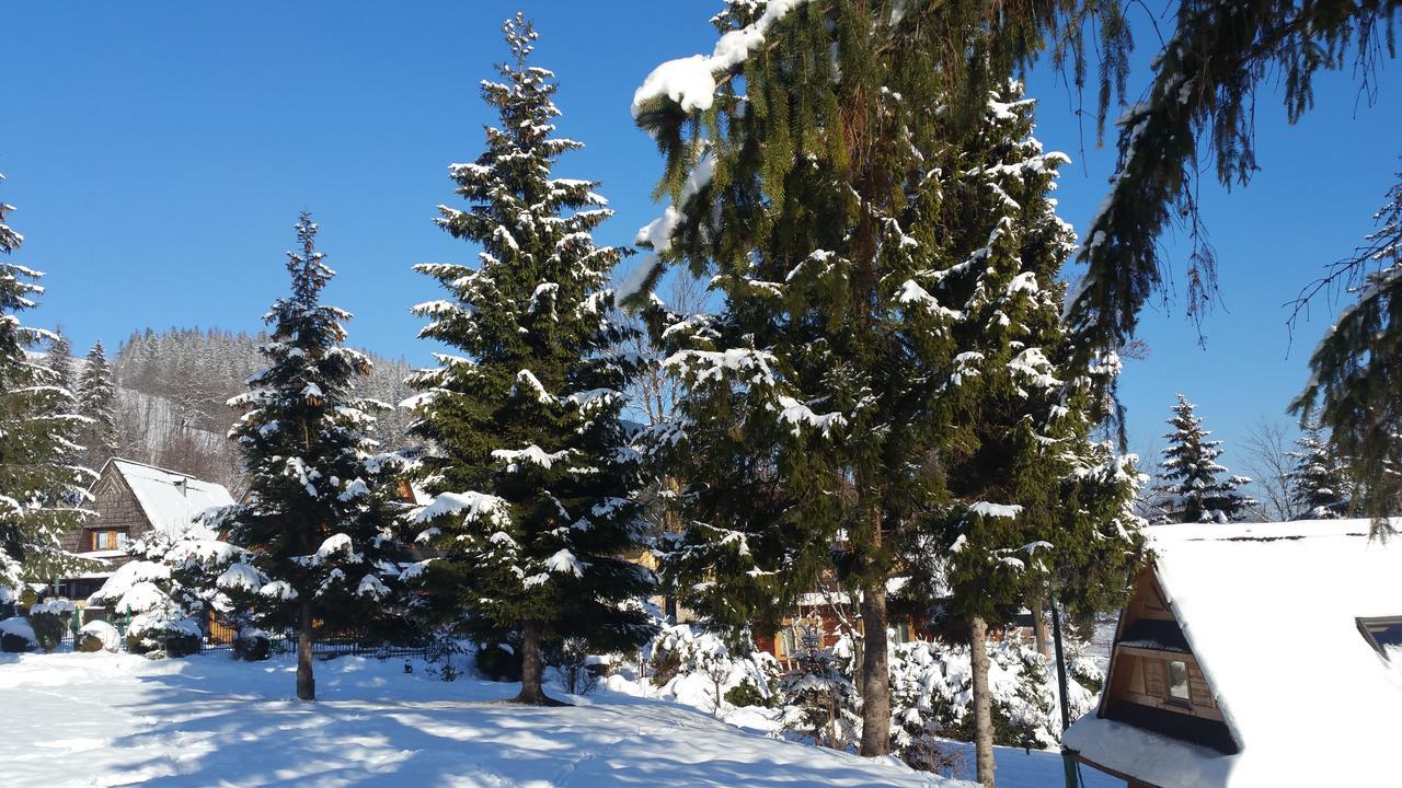 Camping Harenda Pokoje Goscinne I Domki Zakopane Exteriör bild
