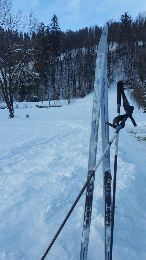 Camping Harenda Pokoje Goscinne I Domki Zakopane Exteriör bild