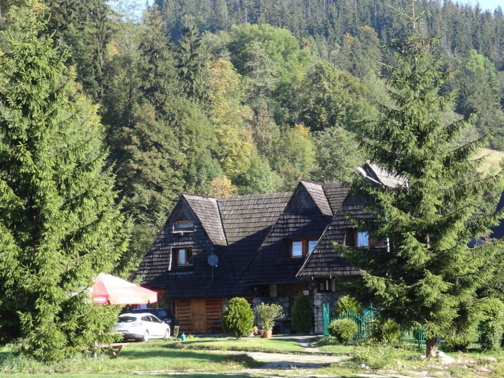 Camping Harenda Pokoje Goscinne I Domki Zakopane Rum bild