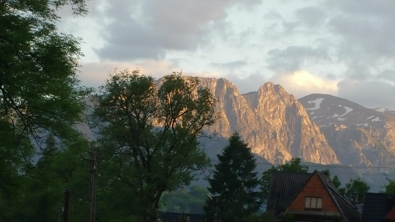 Camping Harenda Pokoje Goscinne I Domki Zakopane Exteriör bild