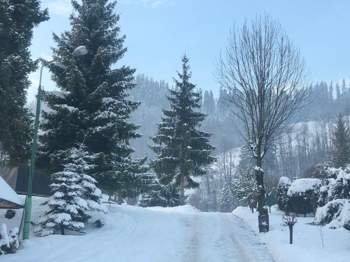 Camping Harenda Pokoje Goscinne I Domki Zakopane Exteriör bild