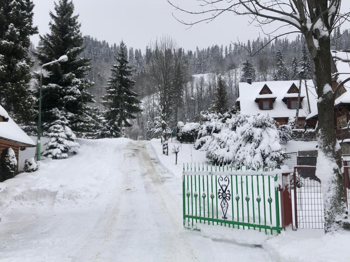 Camping Harenda Pokoje Goscinne I Domki Zakopane Exteriör bild